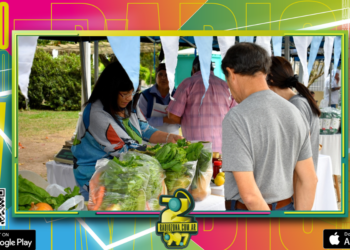 Los emprendedores locales exponen sus productos en la feria municipal de la economía social