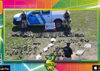 Otra masacre de los cotos de caza: detienen a cinco estadounidenses con más de 80 patos y cisnes muertos y un arsenal de armas