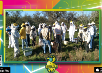 Entre Ríos adhirió al programa nacional de Fortalecimiento Productivo para la Cadena Apícola