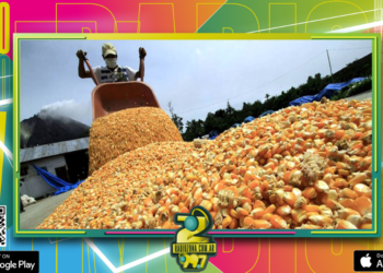 Investigadores, científicos y productores suman su presencia al Congreso de Maíz en Paraná