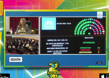 Aprueban reducir IVA en tarifa eléctrica y otros beneficios para Entre Ríos