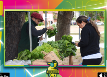 Continúan las ferias de economía social en distintos sectores de la ciudad