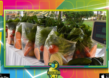 Concordia Ferias: cronograma para el mes de octubre