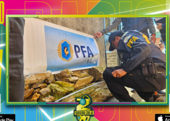 Concordia: hallan fósiles de 80 mil años en una vivienda