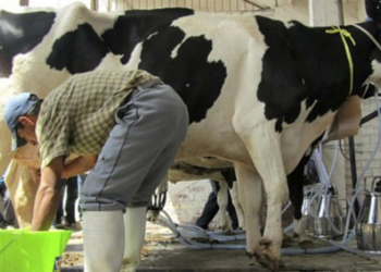 Efemérides del 14 de noviembre