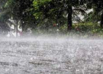 Mal tiempo: cuántos milímetros lloverán en Entre Ríos