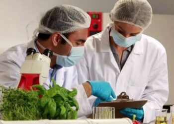 Efemérides del 29 de diciembre