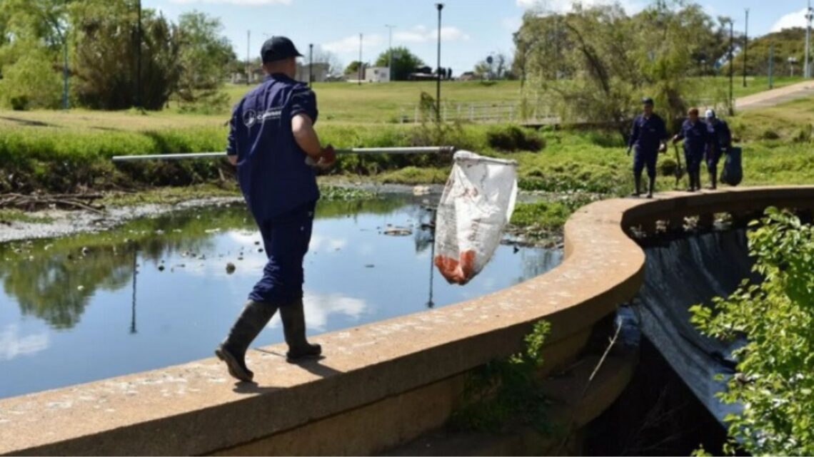 Jornada de limpieza colectiva del Arroyo Manzores