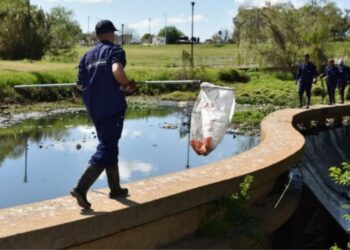 Jornada de limpieza colectiva del Arroyo Manzores
