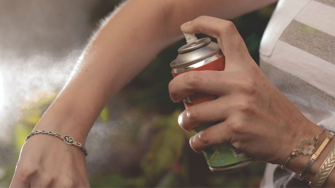 Provincia unifica criterios de acción con municipios para el control del dengue