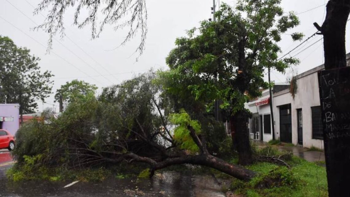 Tormentas, falta de prevención de los privados y daños al sistema eléctrico