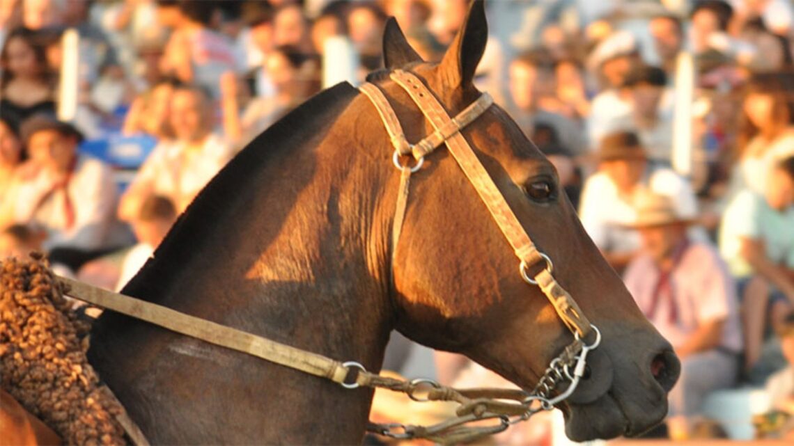Establecen vacunación obligatoria contra encefalomielitis equina en todo el país
