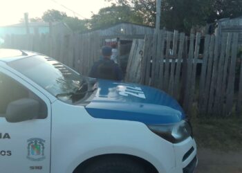 Secuestraron más de veinte plantas de marihuana en una vivienda de la zona oeste