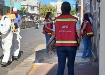 Prevención y erradicación del vector que transmite el dengue