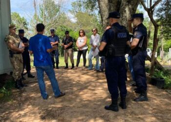 Se definieron los criterios que deben contemplarse en los operativos de caballos sueltos y de tracción a sangre