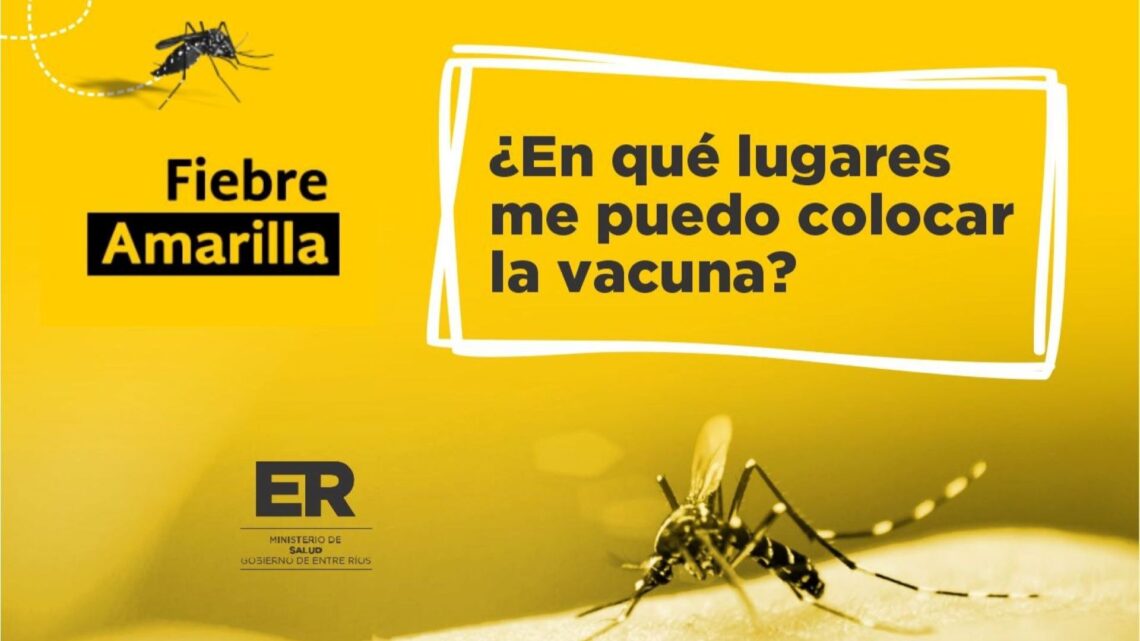 En caso de viajar a Brasil o el norte argentino, recomiendan vacunarse contra la fiebre amarilla