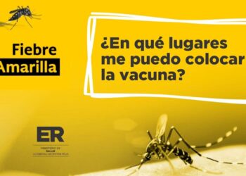 En caso de viajar a Brasil o el norte argentino, recomiendan vacunarse contra la fiebre amarilla