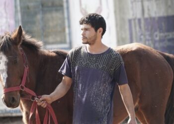 Entrega de equinos en adopción