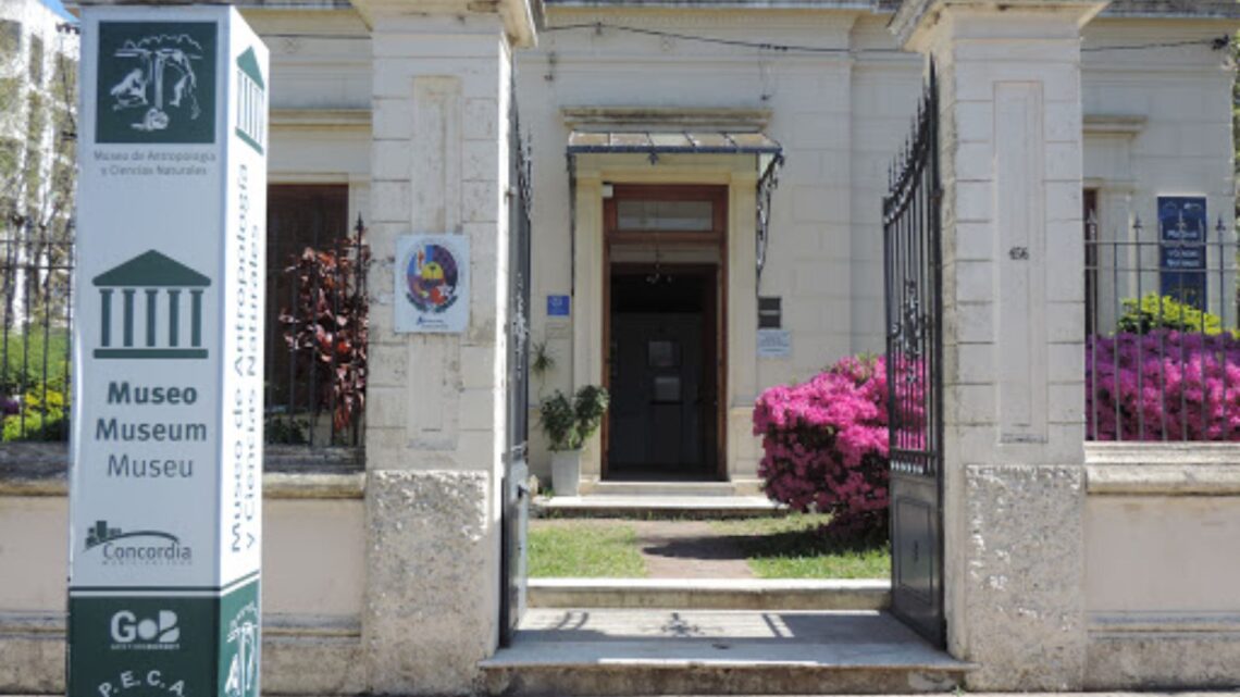 Todo listo para vivir «la noche de las linternas»