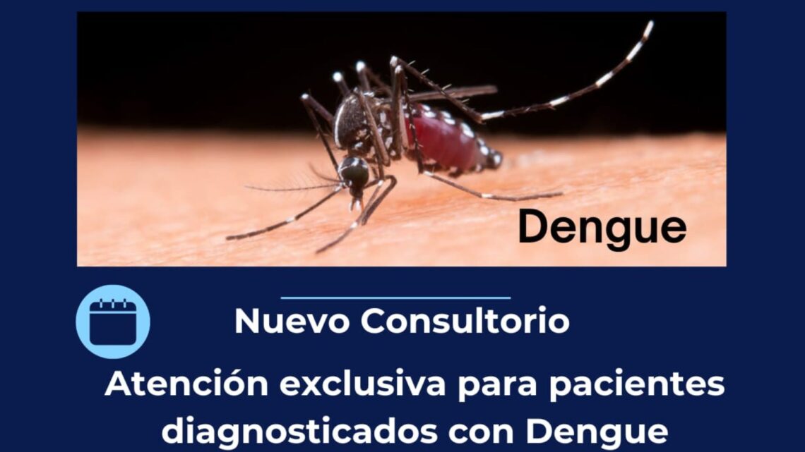 Noticias Masvernat: Consultorio Dengue