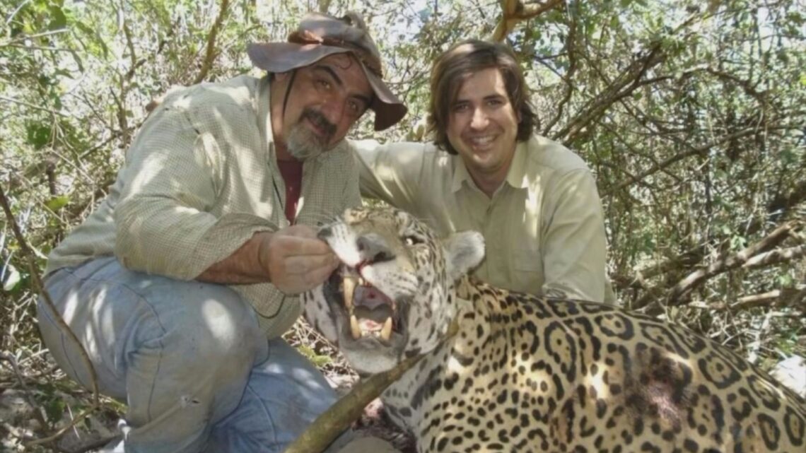 Escándalo Nacional: denuncian cotos de caza que traen extranjeros a matar animales autóctonos en peligro de extinción