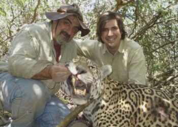 Escándalo Nacional: denuncian cotos de caza que traen extranjeros a matar animales autóctonos en peligro de extinción