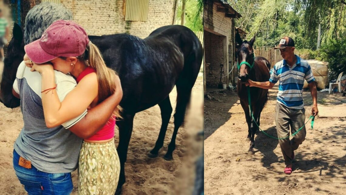 Denuncio el robo de su caballo en Salto Uruguay y lo encontró corriendo carreras en Concordia