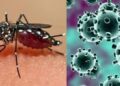 Siguen en aumento los casos de dengue y Covid-19