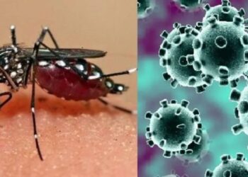 Siguen en aumento los casos de dengue y Covid-19