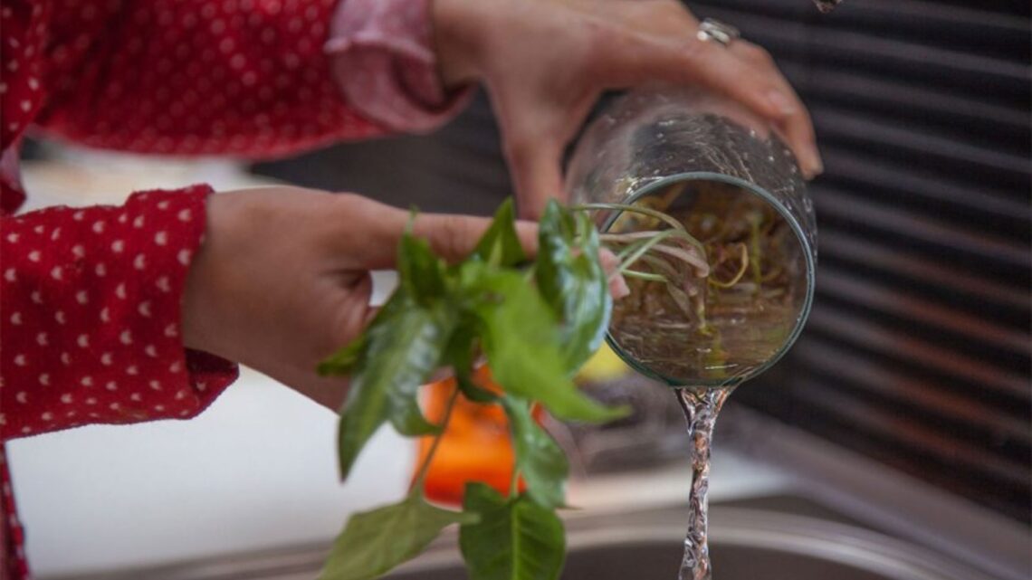 “Descacharrizar” y limpiar el patio, las recomendaciones de Prieto para frenar al dengue