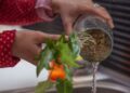 “Descacharrizar” y limpiar el patio, las recomendaciones de Prieto para frenar al dengue