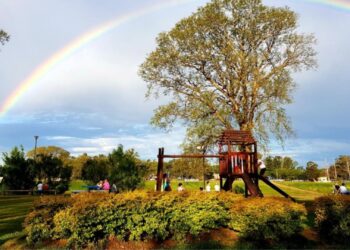 Ante la situación registrada en los juegos de la costanera, la municipalidad tomó la decisión de erradicarlos