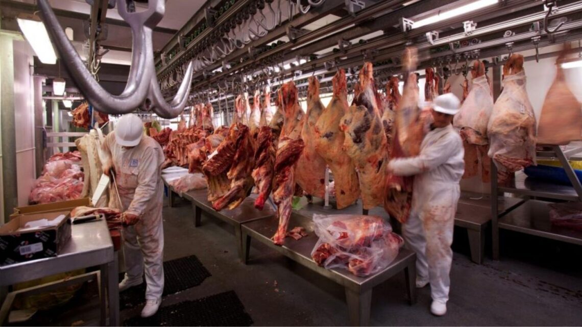 Se desplomó el consumo de carne vacuna en los primeros meses de 2024