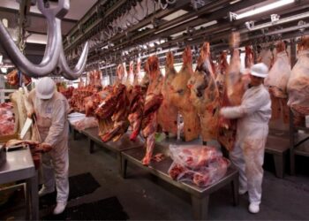 Se desplomó el consumo de carne vacuna en los primeros meses de 2024