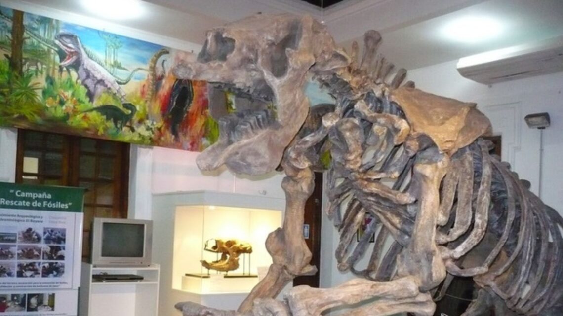 Conferencia sobre “dinosaurios: lo grande, lo antiguo, lo sorprendente”