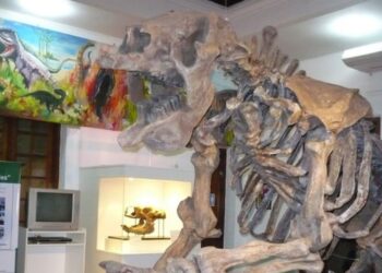 Conferencia sobre “dinosaurios: lo grande, lo antiguo, lo sorprendente”