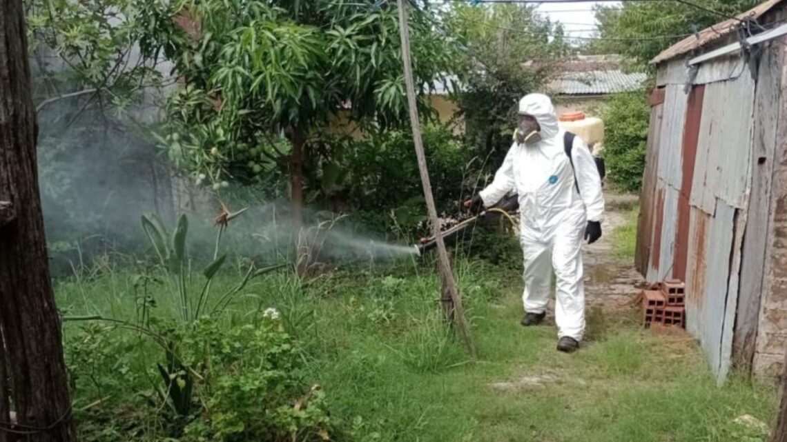 Dengue: se declaró la emergencia sanitaria y epidemiológica en Concordia