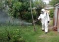 Dengue: se declaró la emergencia sanitaria y epidemiológica en Concordia