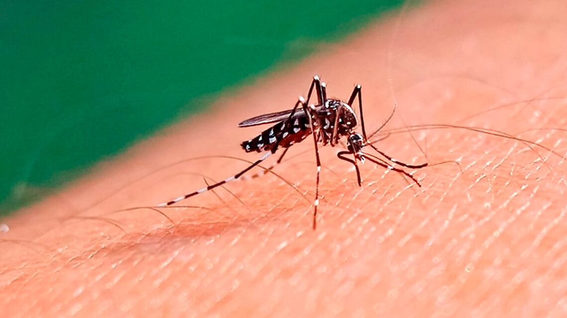 Salud provincial confirmó el fallecimiento de un paciente con dengue