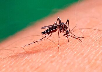 Salud provincial confirmó el fallecimiento de un paciente con dengue