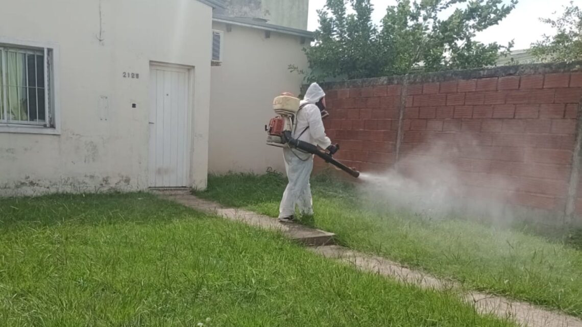 Continúan las fumigaciones y desinfecciones en distintos barrios