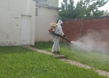 Continúan las fumigaciones y desinfecciones en distintos barrios