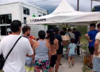 Castraciones en el Centro de Gestión Municipal de Villa Adela