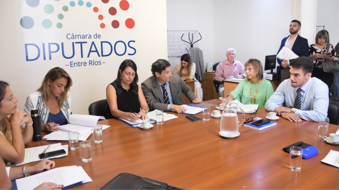 Carola Laner: “la reforma de la estructura policial de la provincia tiene como objetivo su reorganización y modernización”