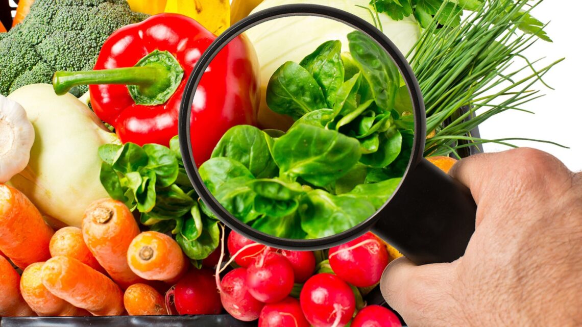 Bromatología: claves que garantizan que los alimentos que consumimos no causan daño a nuestra salud