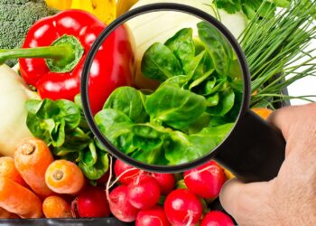Bromatología: claves que garantizan que los alimentos que consumimos no causan daño a nuestra salud