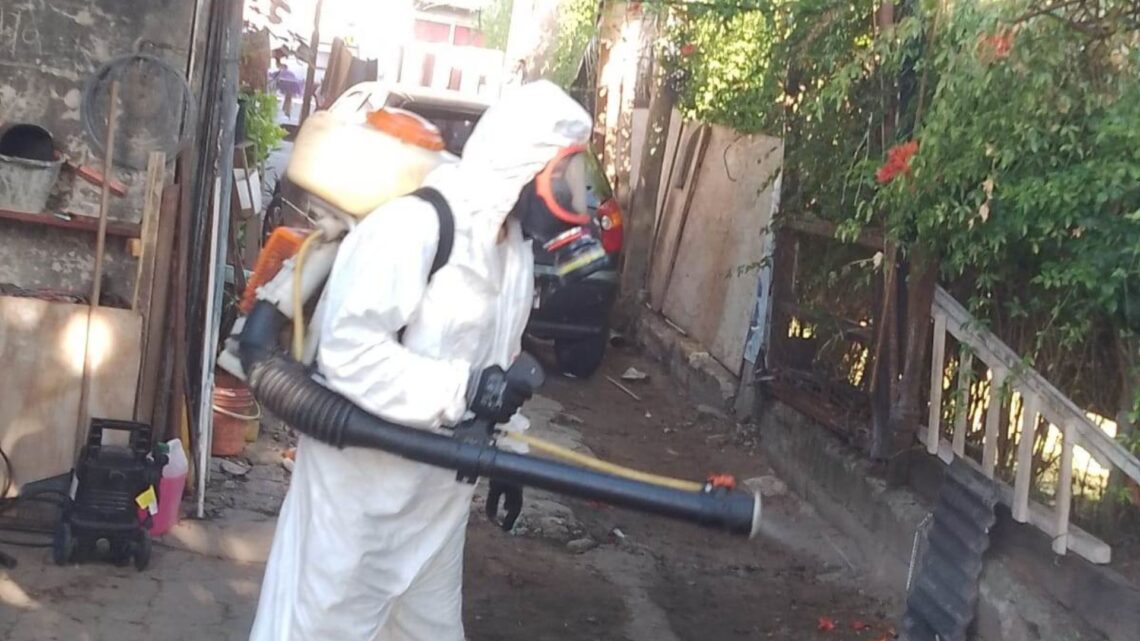Dengue: programa de fumigación barrial