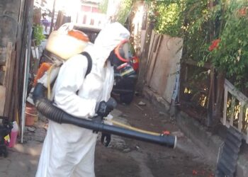 Dengue: programa de fumigación barrial