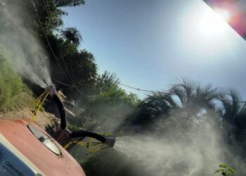 Cronograma de fumigaciones para la primera semana de abril