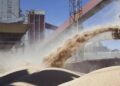 Exportaciones del agro: proyección del año cayó por debajo de U$S30.000 millones